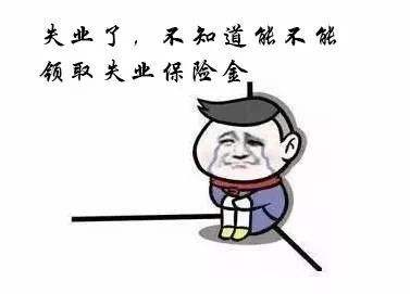 失業保險中斷就清零嗎？ 第1張