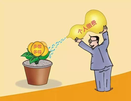 社保是不是一定要所有險(xiǎn)種一起繳? 第1張 社保是不是一定要所有險(xiǎn)種一起繳? 第1張