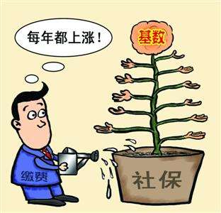 個人和單位繳納的社保,待遇會有什么區別? 第1張 個人和單位繳納的社保,待遇會有什么區別? 第1張