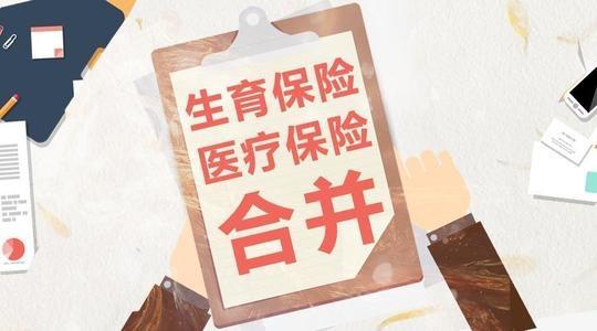 2020年如何為公司交社保？ 第1張